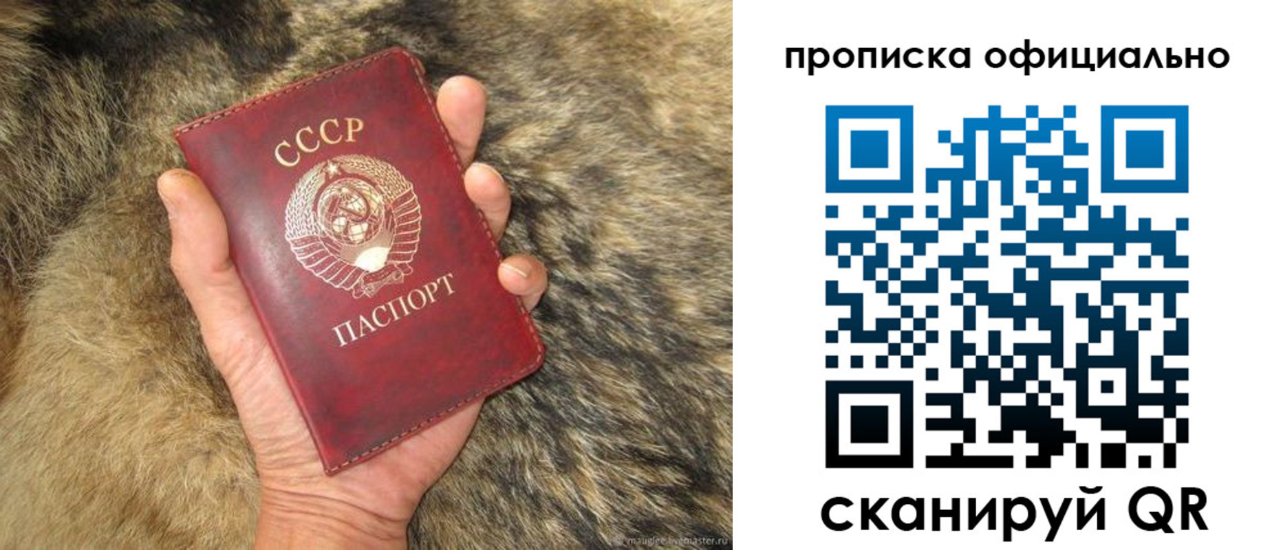 купить прописку в Чистополье
